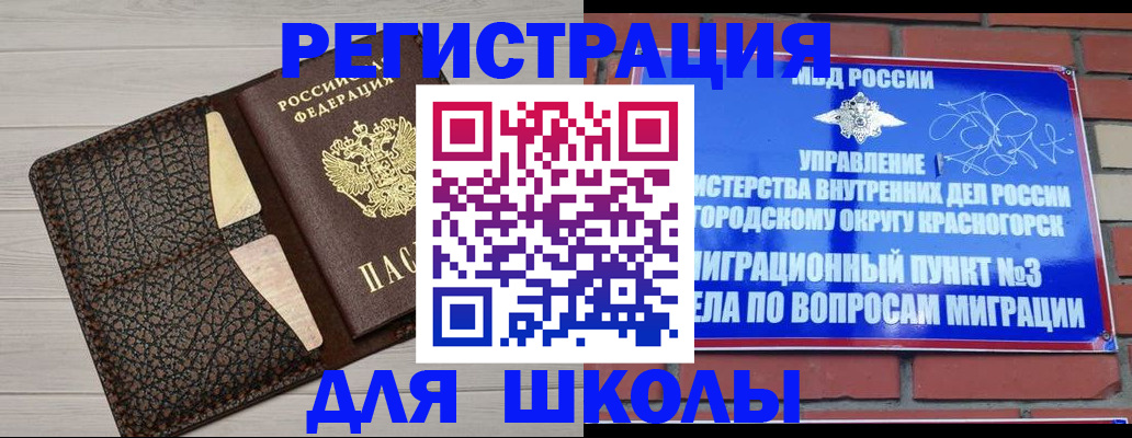 прописка в Волосово